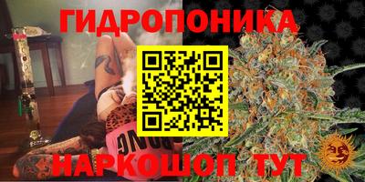 ешки Ставрополь